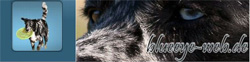 www.blueeye-web.de