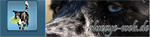 www.blueeye-web.de
