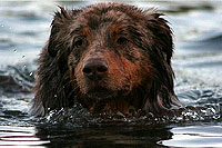 Agi-Turnier in Belgien & Abends Spa� am See