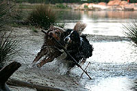 Agi-Turnier in Belgien & Abends Spa� am See