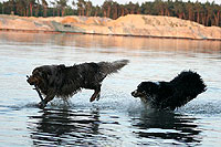 Agi-Turnier in Belgien & Abends Spa� am See