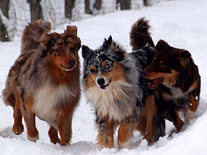 Winterspaziergang
