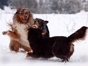 Winterspaziergang
