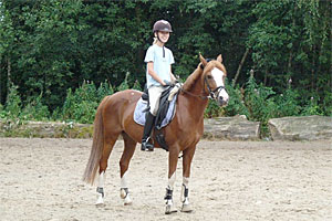 Brulands Nummer F�nf
