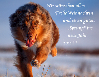 Frohe Weihnachten