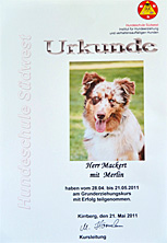 Merlin's Urkunde