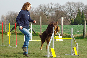Agility-Champ