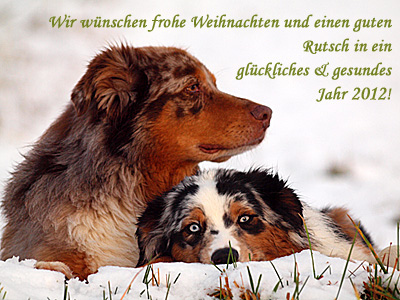 Twisti und Crax