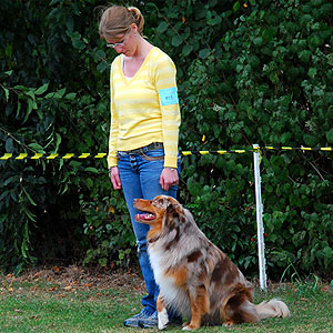 Twister im Obedience in Belgien