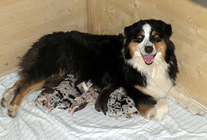 Jill mit IHREN 8