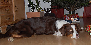 ist das schon ein Babybauch???