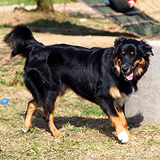 Emma - Frosti's Esmeralda Emma