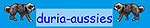www.Duria-Aussies.de