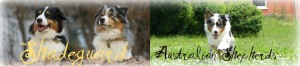 Shadegard Aussies